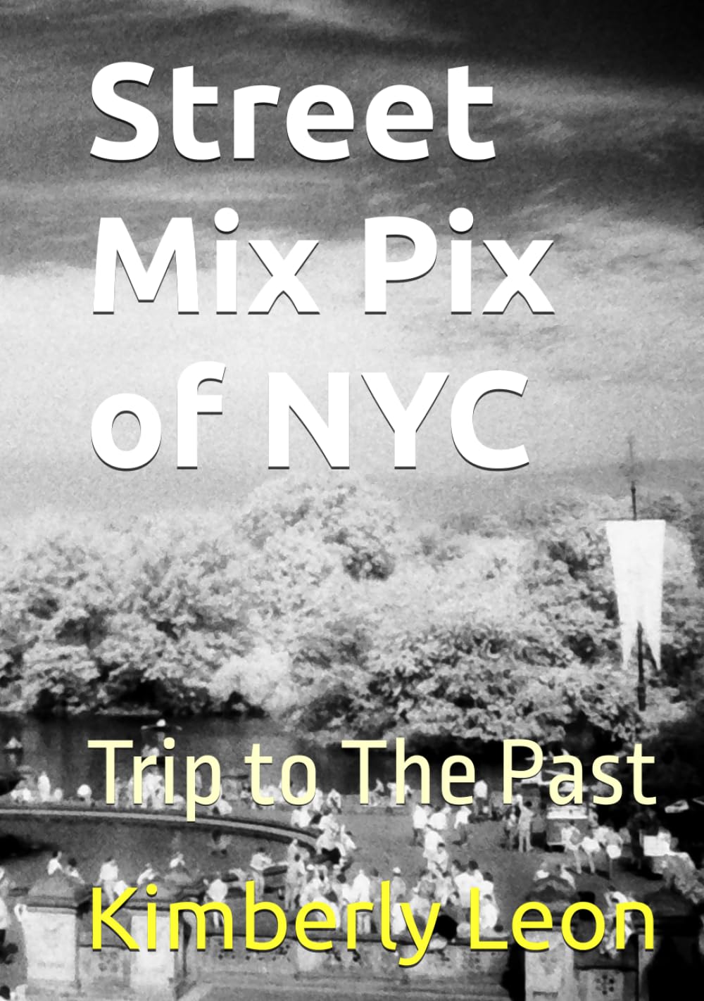ler totalmente Street Mix Pix of NYC: Trip to the past