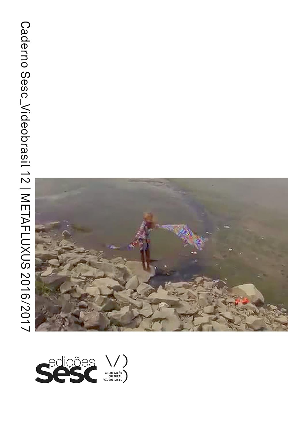 Caderno Sesc_Videobrasil 12: Metafluxus (Cadernos Sesc_Videobrasil) baixar livro de graça