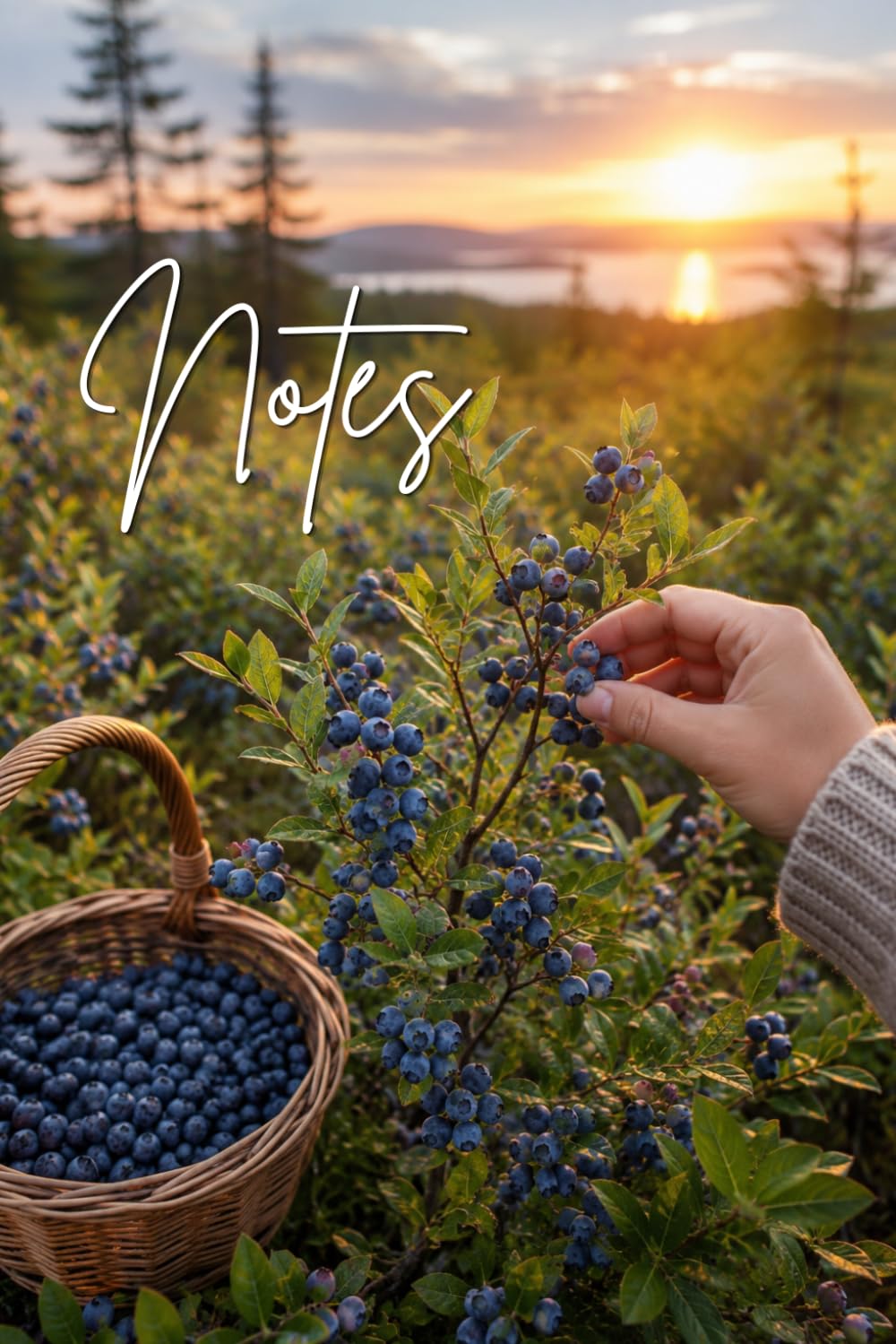 Blueberry Picking Notebook: A Sweet Summer Berry Picking Journal: 100 Lined Pages | 6 x 9 Inches | Cute Blueberry Bush & Full Basket Design | Notes & Summer Memories baixar livro de graça
