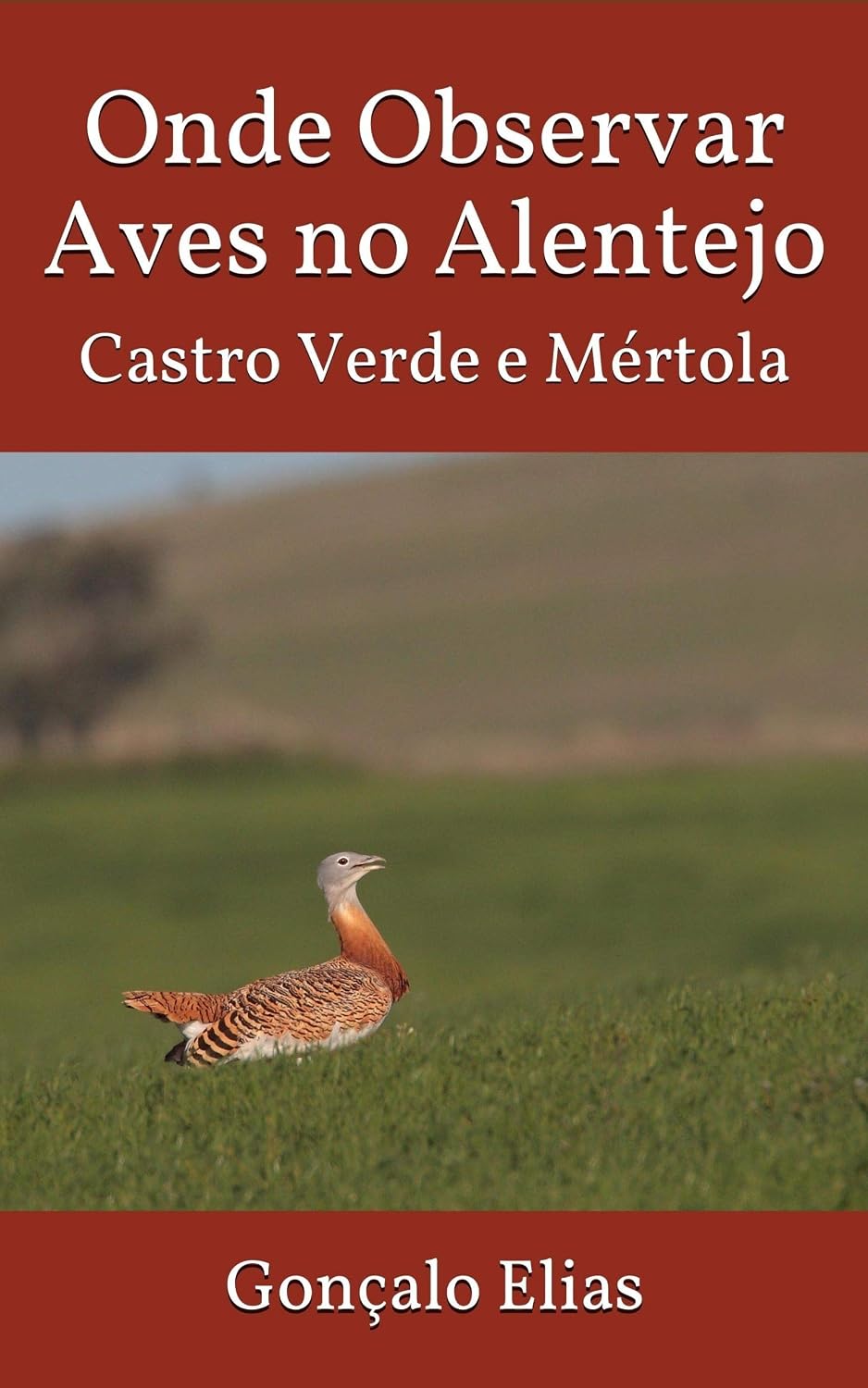 Onde Observar Aves no Alentejo: Castro Verde e Mértola baixar o livro de graça
