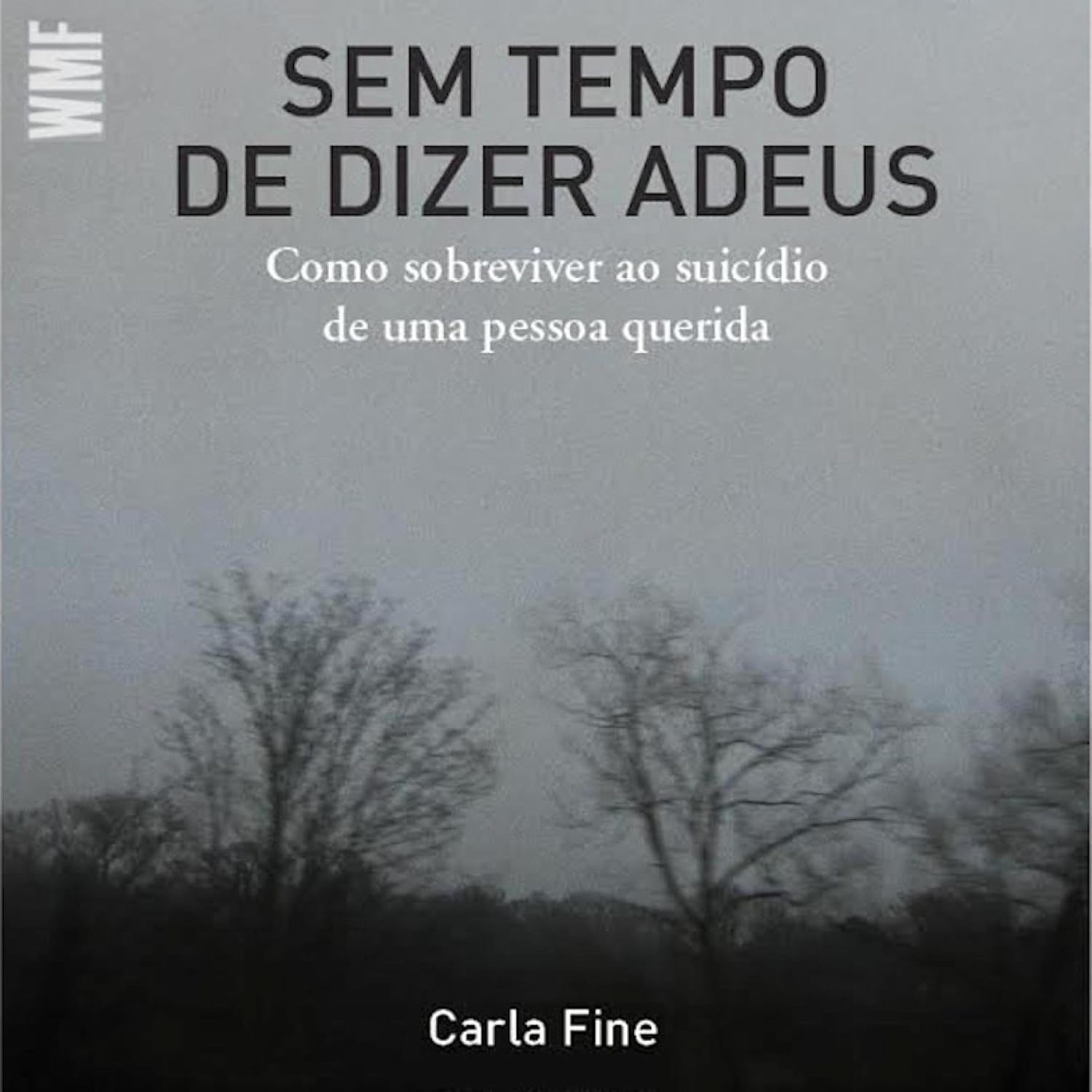 Sem tempo de dizer adeus baixar livro de graça
