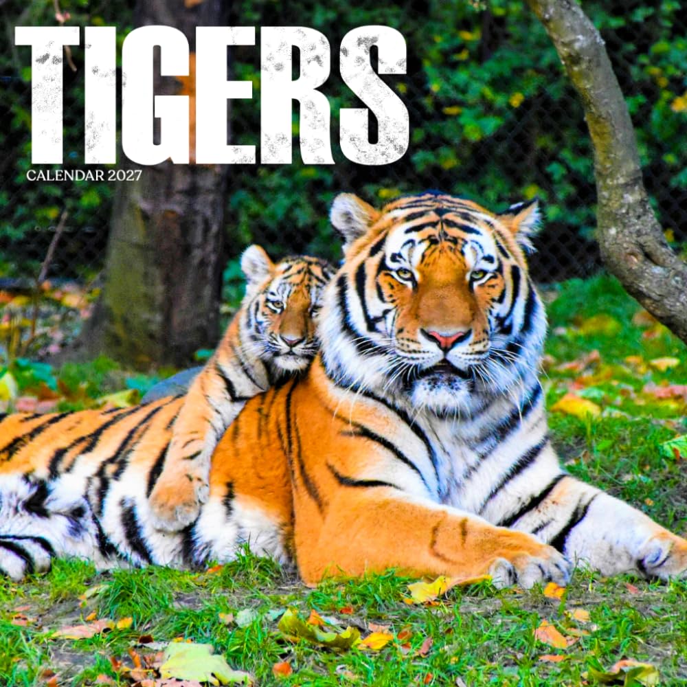 Tigers Calendar 2027: Big Cat Wildlife and Natural Scenes