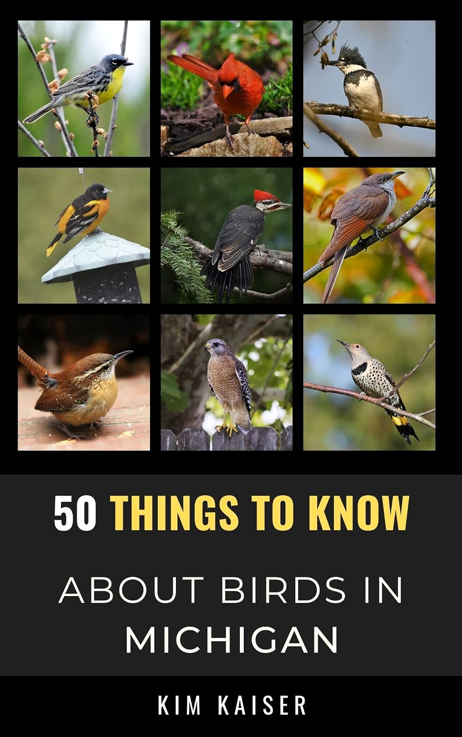 50 Things to Know About Birds in Michigan: Birdwatching Guide, Bird Identification, Local Species, & Backyard Birds (50 Things to Know About Birds & Birdwatching:... and regional bird books) (English Edition) baixar livro de graça