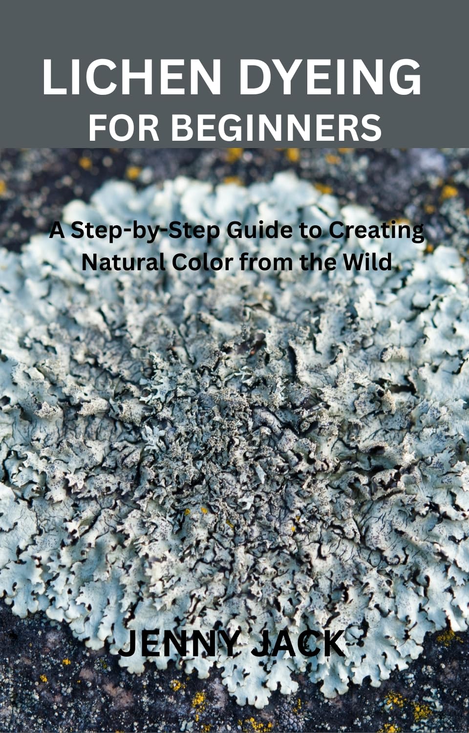 ler totalmente LICHEN DYEING FOR BEGINNERS: A Step-by-Step Guide to Creating Natural Color from the Wild (English Edition)