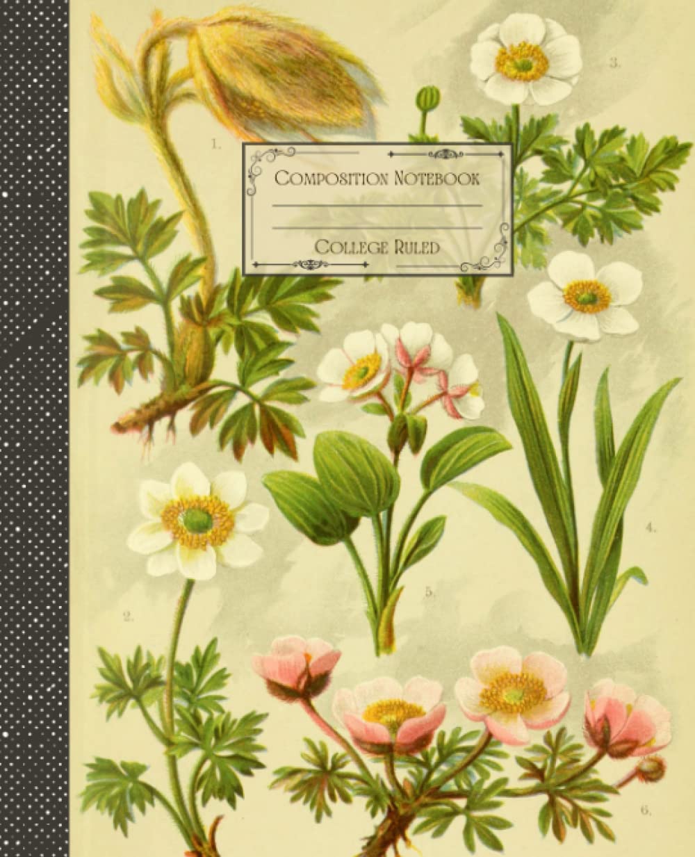 Vintage Botanical Floral Composition Notebook College Ruled: Antique Botanical Floral Illustration | Classic Composition Notebook for Writing and... for College Students, School and Work. baixar o livro de graça