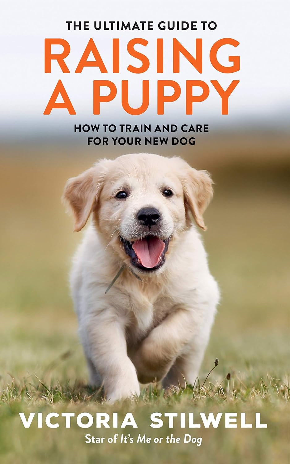 ler totalmente The Ultimate Guide to Raising a Puppy (English Edition)