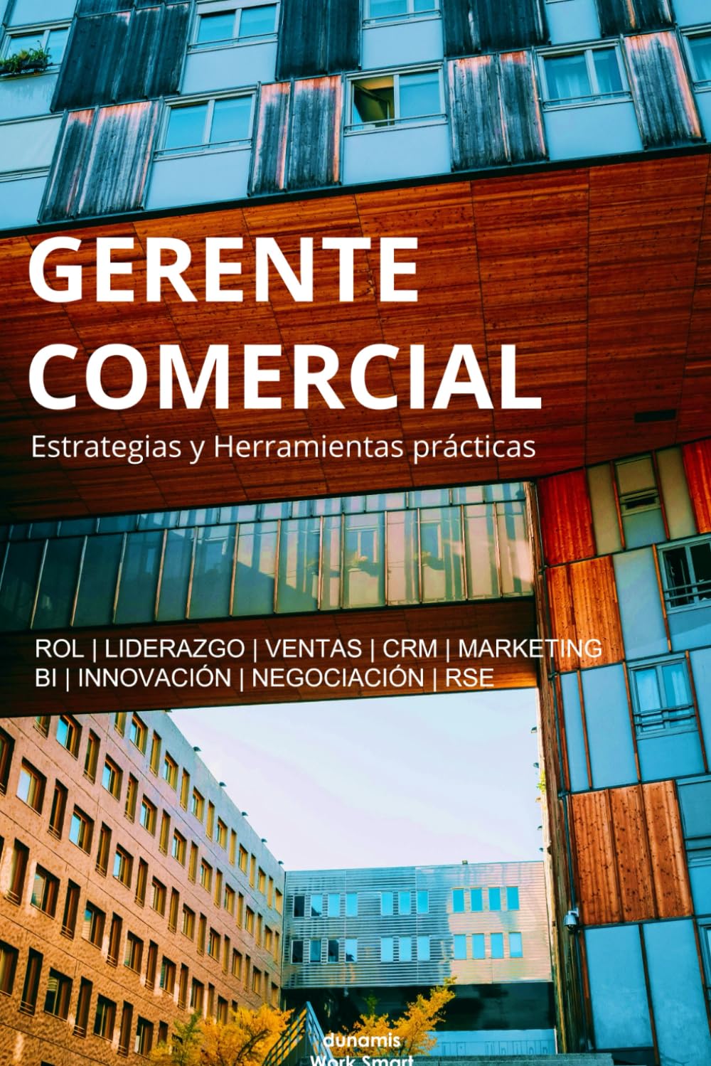 GERENTE COMERCIAL: Estrategias y herramientas prácticas (Spanish Edition) baixar o livro de graça