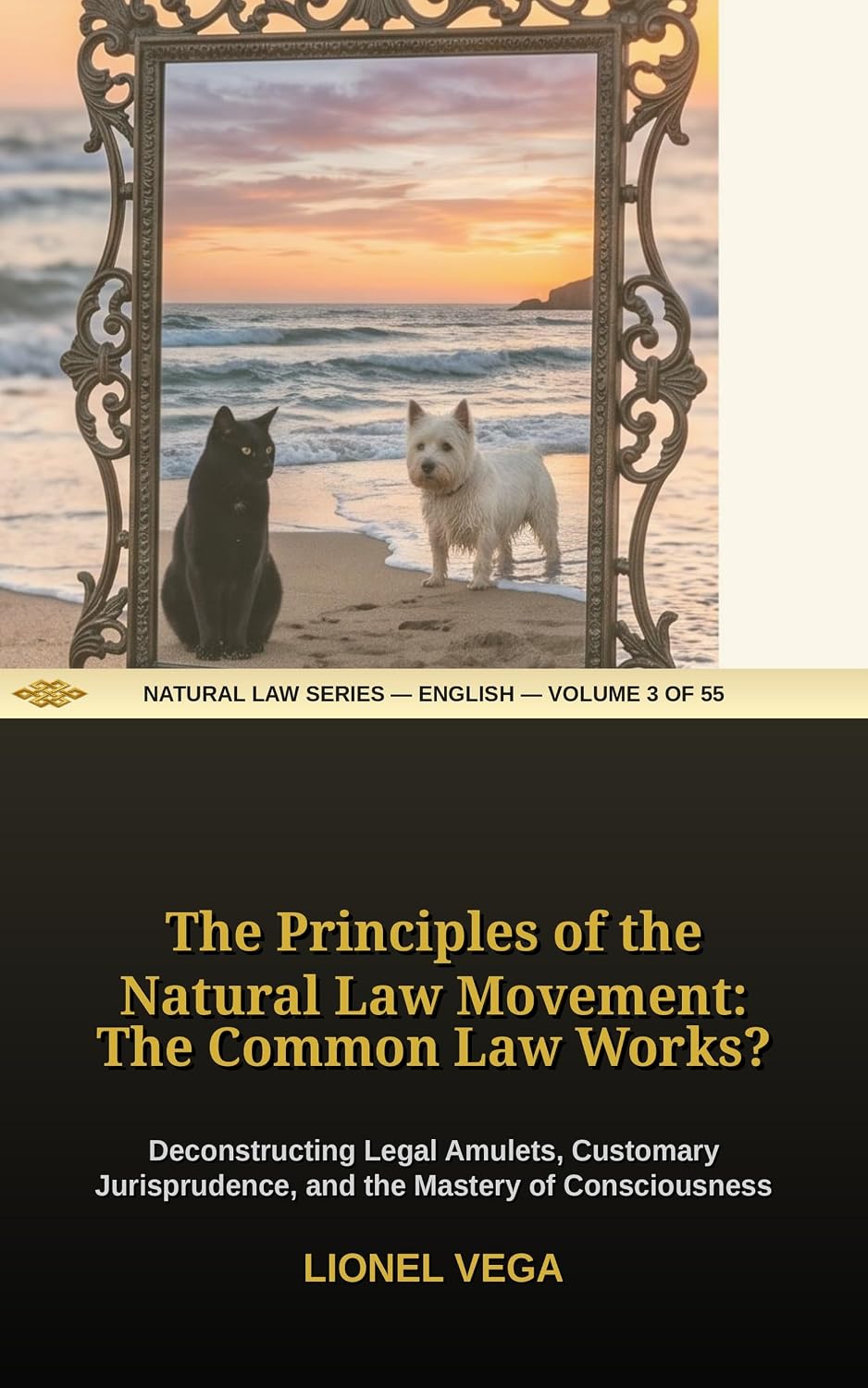ler totalmente THE PRINCIPLES OF THE NATURAL LAW MOVEMENT: THE COMMON LAW WORKS?: Deconstructing Legal Amulets, Customary Jurisprudence, and the Mastery of Consciousness... Collection) Book 3) (English Edition)