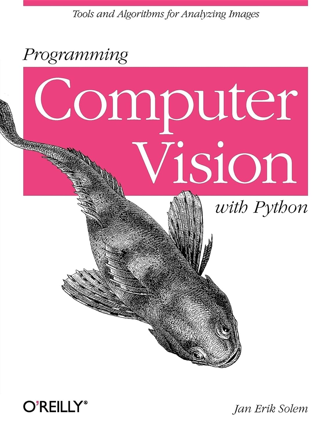 Programming Computer Vision with Python: Tools and Algorithms for Analyzing Images baixar livro de graça