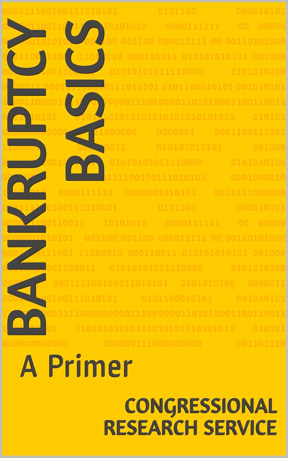capítulo por capítulo baixar Bankruptcy Basics: A Primer (English Edition)