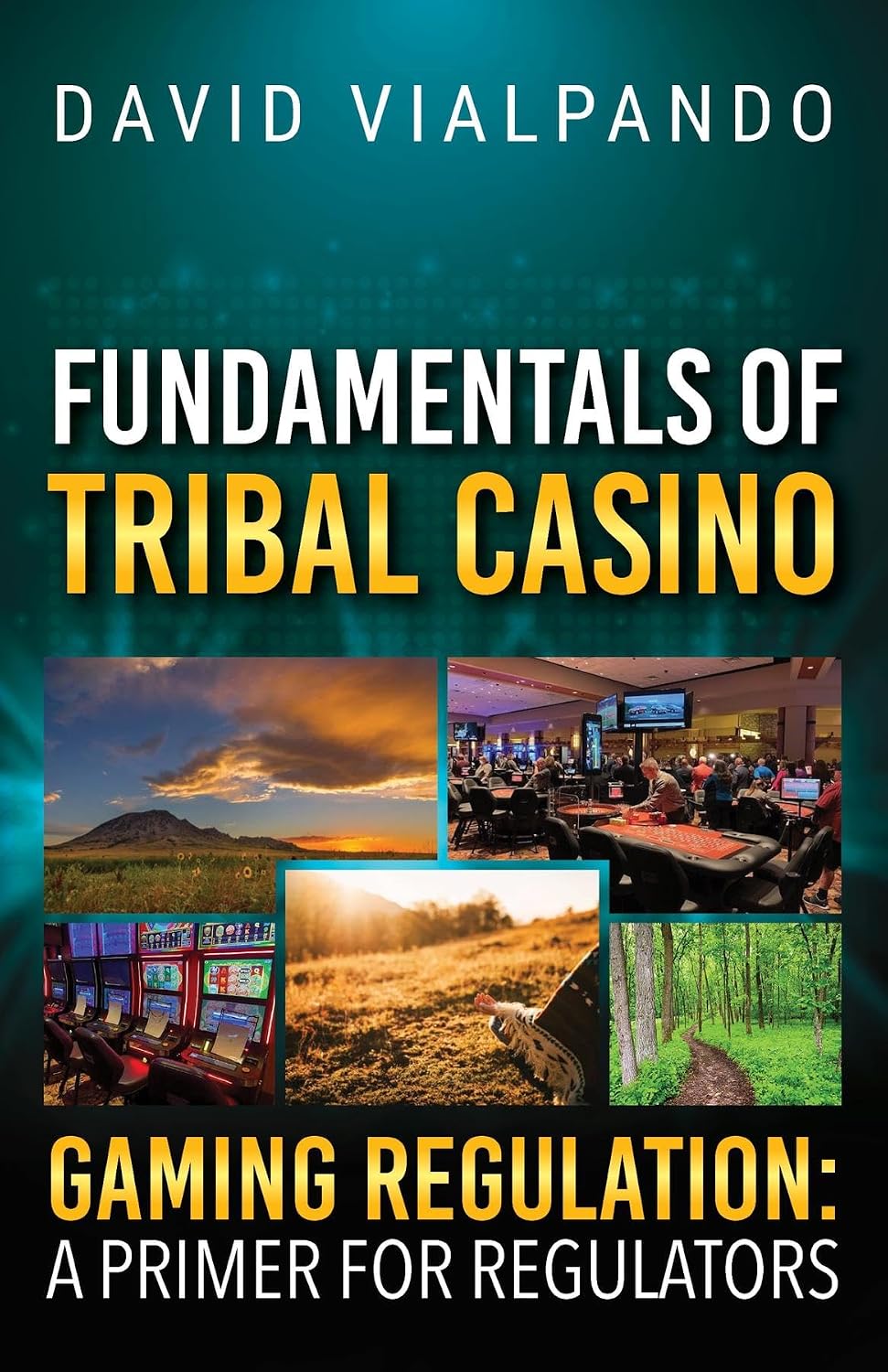 Fundamentals of Tribal Casino Gaming Regulation: A Primer for Regulators (English Edition) baixar o livro de graça