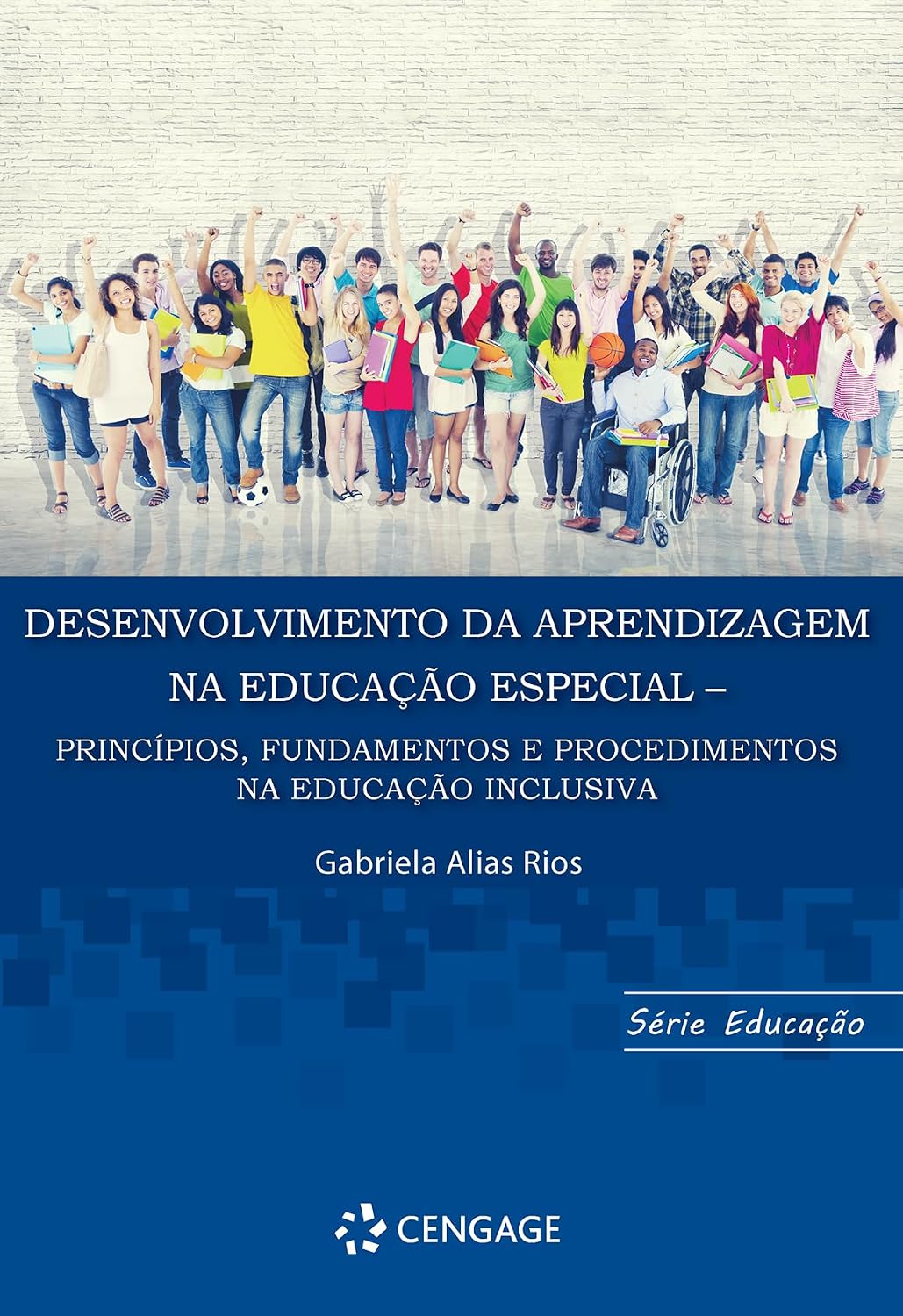 Desenvolvimento da Aprendizagem na Educação Especial: Princípios, Fundamentos e Procedimentos na Educação Inclusiva baixar o livro de graça