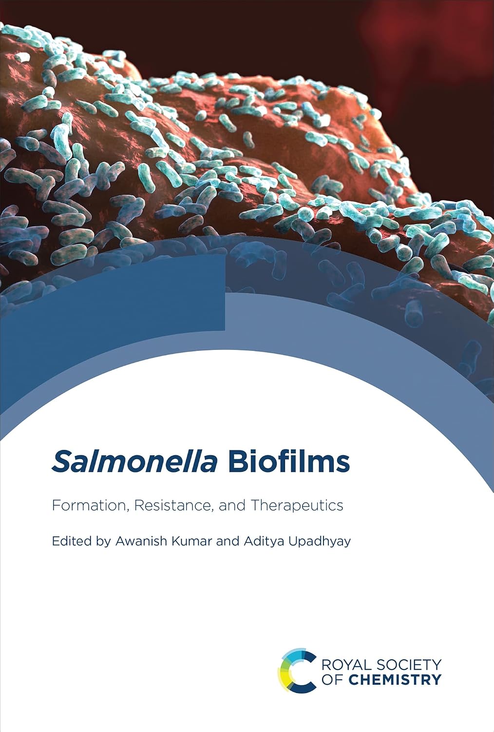 Salmonella Biofilms: Formation, Resistance, and Therapeutics (English Edition)
