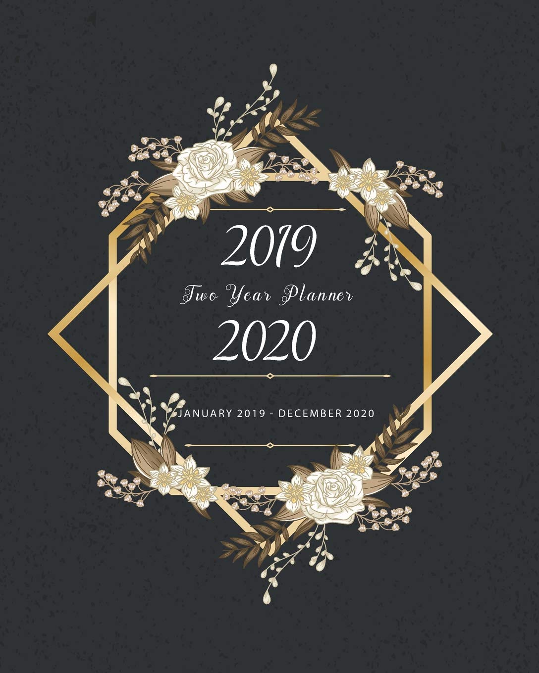 2019-2020 Two Year Planner: 2 Year Planner with 24 Months Calendar January 2019 - December 2020 Academic Agenda Schedule Organizer Logbook Appointment Book baixar livro de graça
