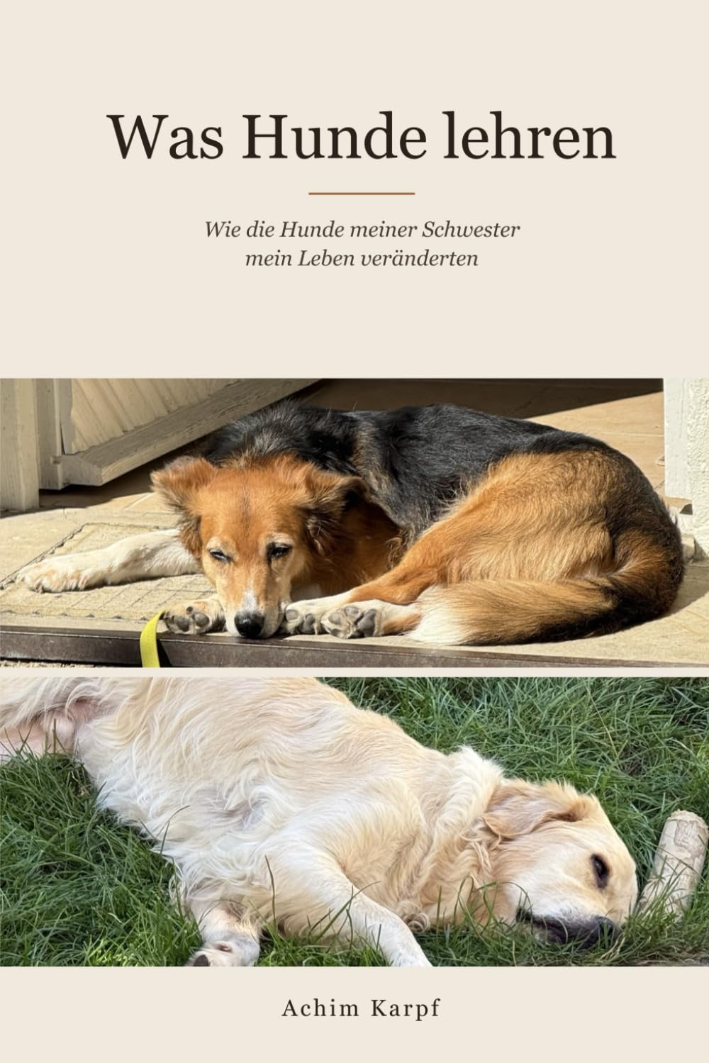 Was Hunde lehren: Wie die Hunde meiner Schwester mein Leben veränderten (German Edition) baixar livro de graça