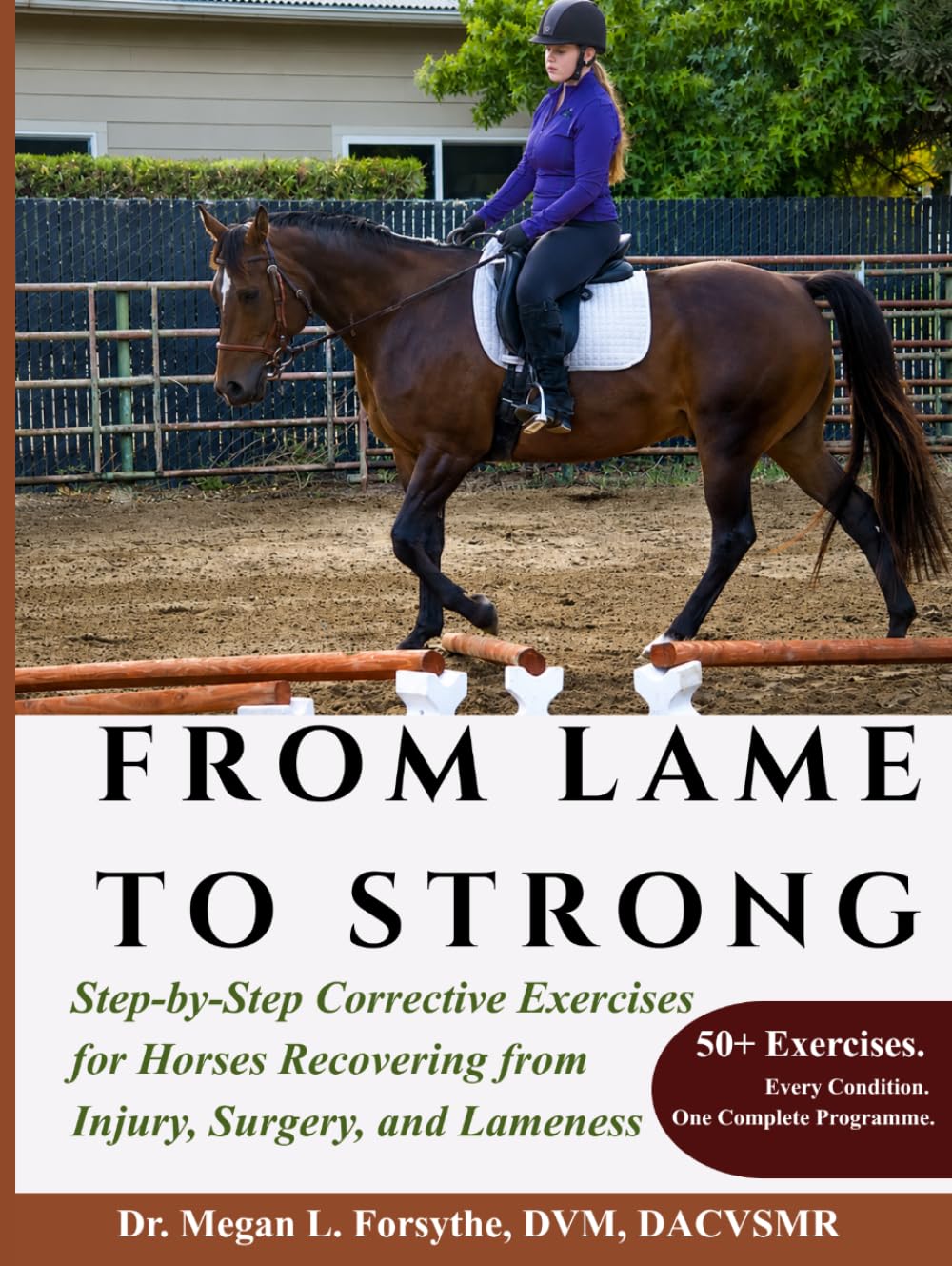capítulo por capítulo baixar From Lame to Strong: Step-by-Step Corrective Exercises for Horses Recovering from Injury, Surgery, and Lameness