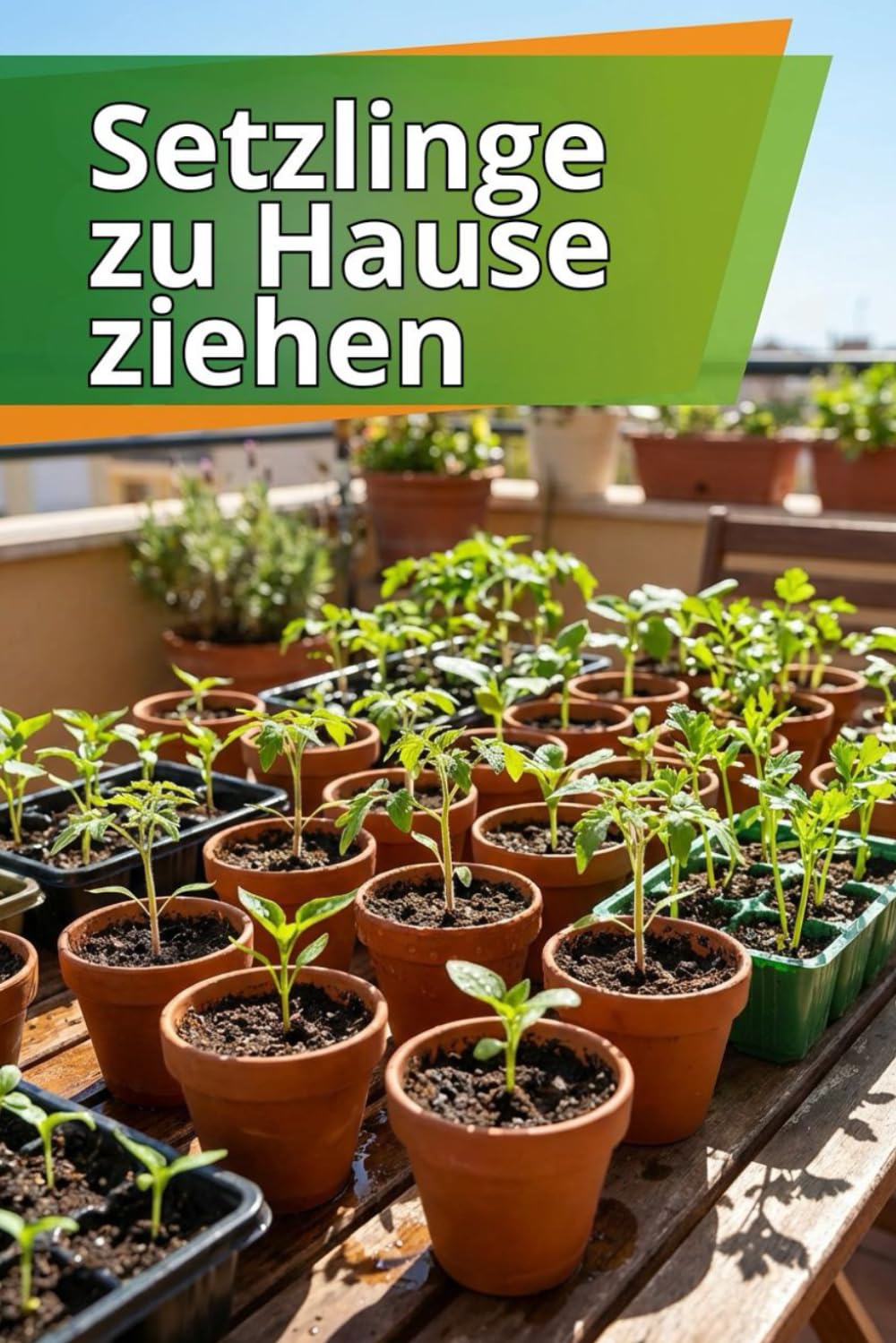Setzlinge zu Hause ziehen: Der umfassende Leitfaden zur Anzucht von Setzlingen: Schritt-für-Schritt-Anleitung, Tipps und Hinweise zu häufigen Fehlern für kräftige, gesunde Pflanzen baixar o livro de graça