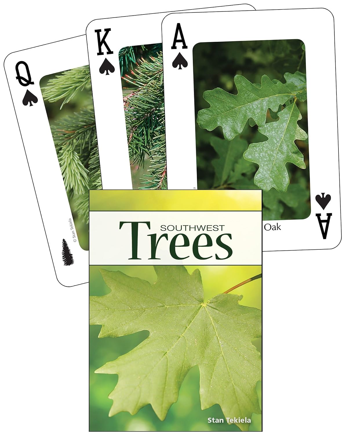 Trees of the Southwest Playing Cards baixar o livro de graça