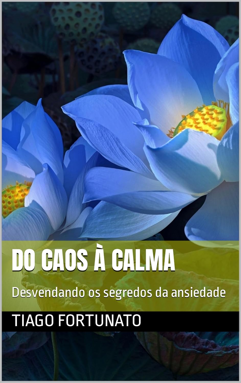 Do caos à calma: Desvendando os segredos da ansiedade baixar o livro de graça