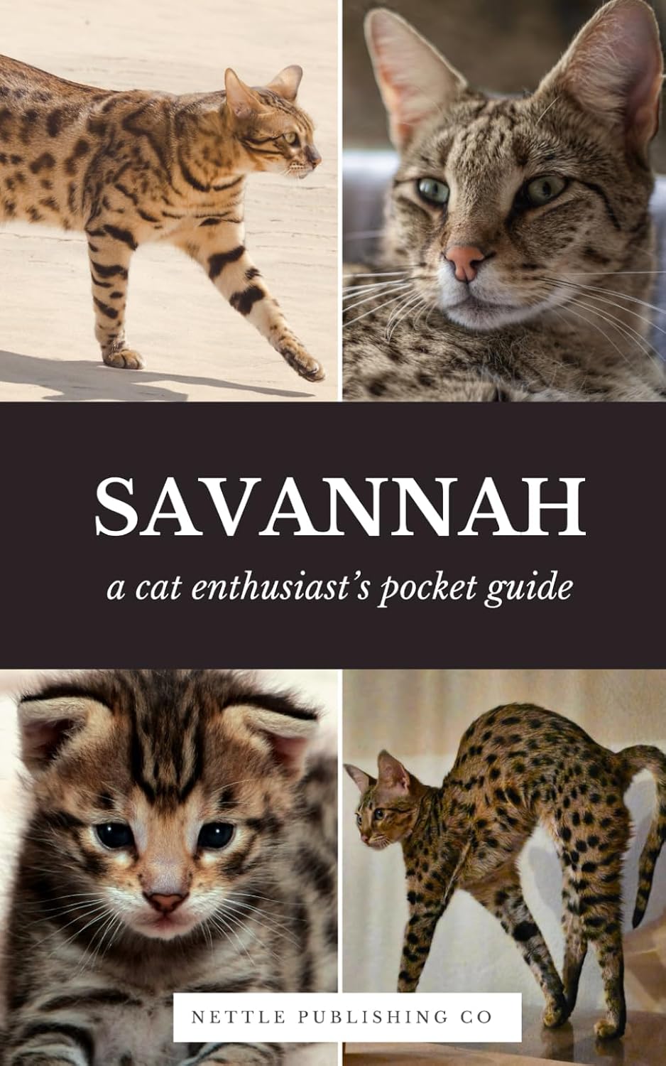 Savannah Cats | A Complete Pocket Guide Book: Breed-Specific Care Handbook With Pet Passport with Records Logbook baixar o livro de graça