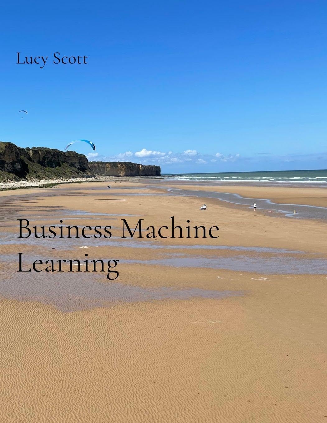 Business Machine Learning baixar o livro de graça