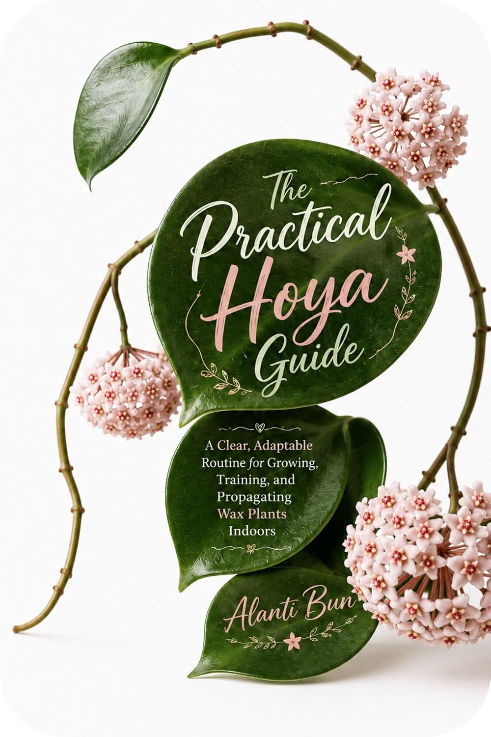 The Practical Hoya Guide: A Clear, Adaptable Routine for Growing, Training, and Propagating Wax Plants Indoors (English Edition) baixar livro de graça
