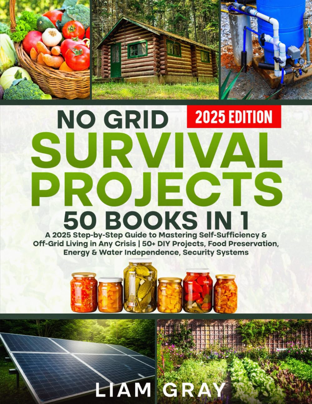 No Grid Survival Projects: A 2025 Step-by-Step Guide to Mastering Self-Sufficiency & Off-Grid Living in Any Crisis | 50+ DIY Projects, Food Preservation, Energy & Water Independence, Security Systems baixar livro de graça