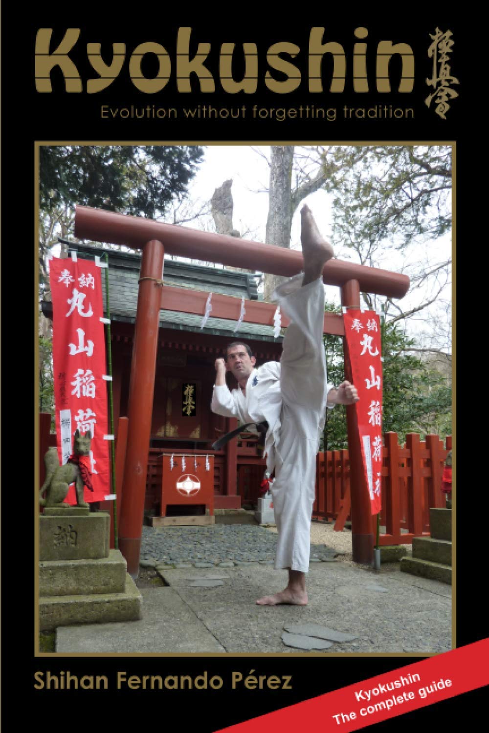 Kyokushin: Evolution Without Forgetting Tradition baixar livro de graça