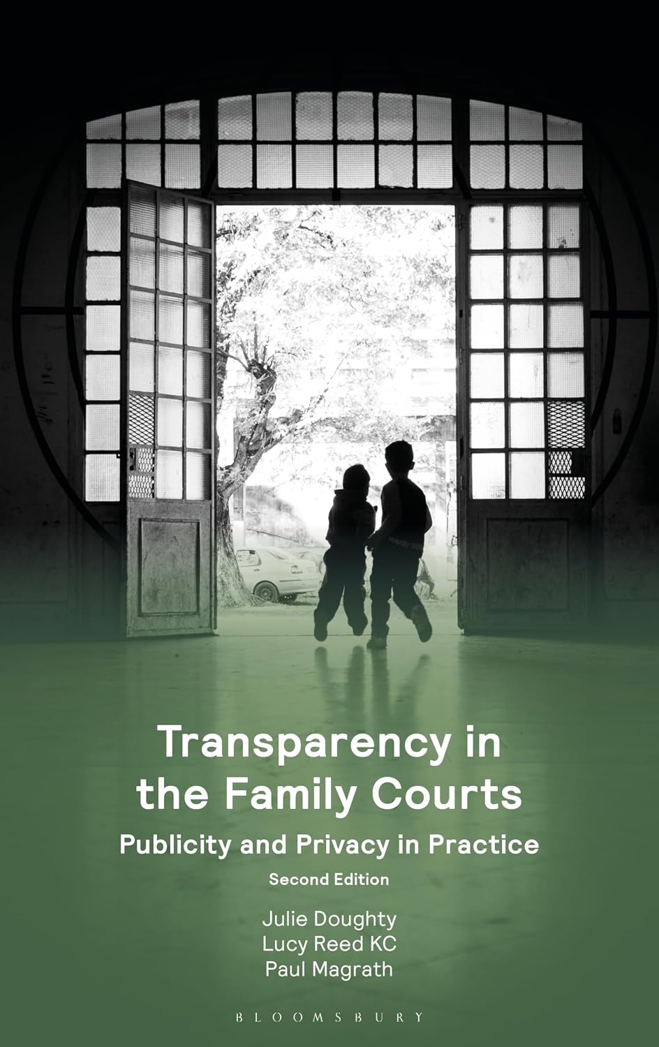 Transparency in the Family Courts: Publicity and Privacy in Practice (English Edition) baixar livro de graça