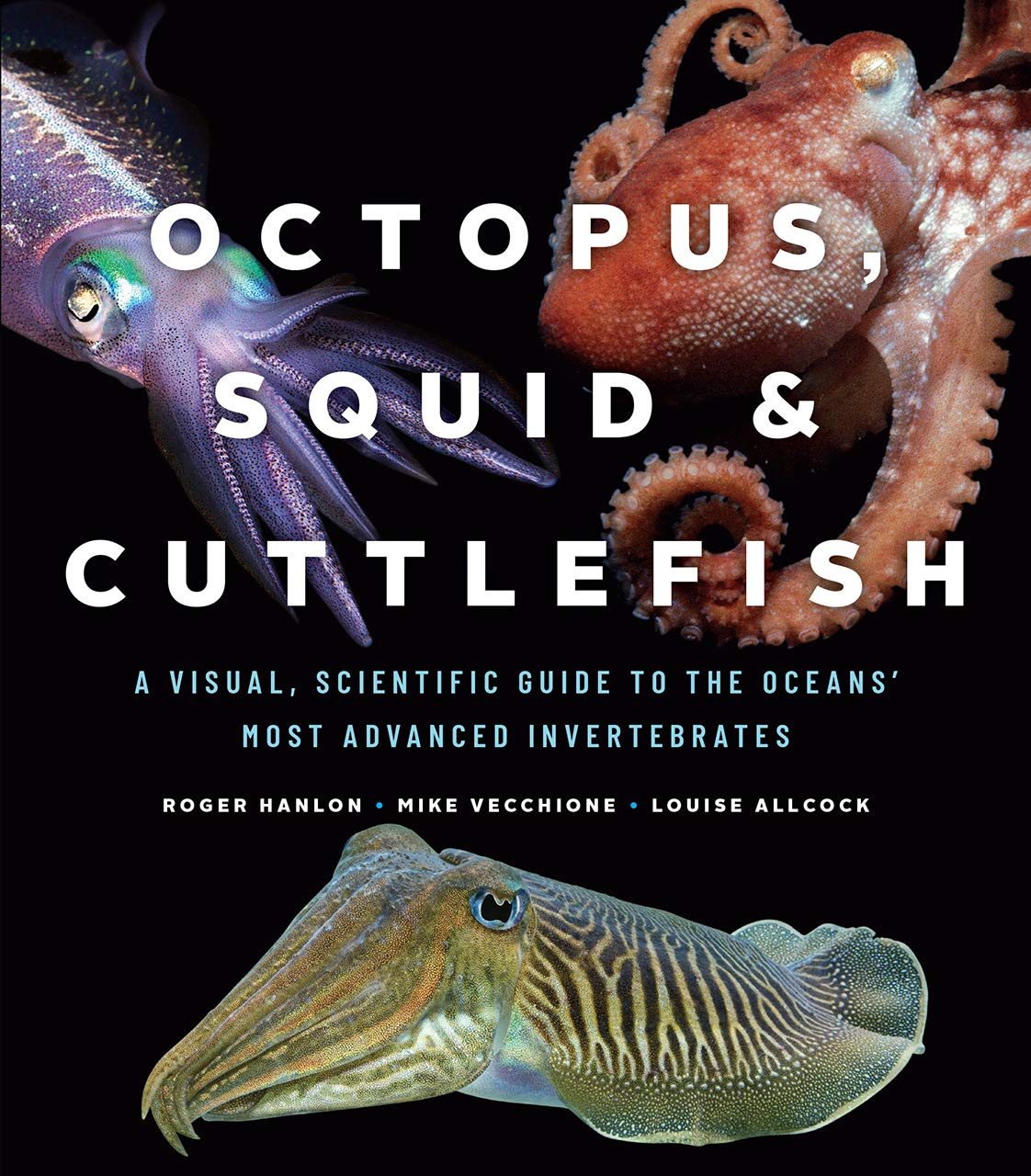 ler totalmente Octopus, Squid, and Cuttlefish: A Visual, Scientific Guide to the Oceans' Most Advanced Invertebrates