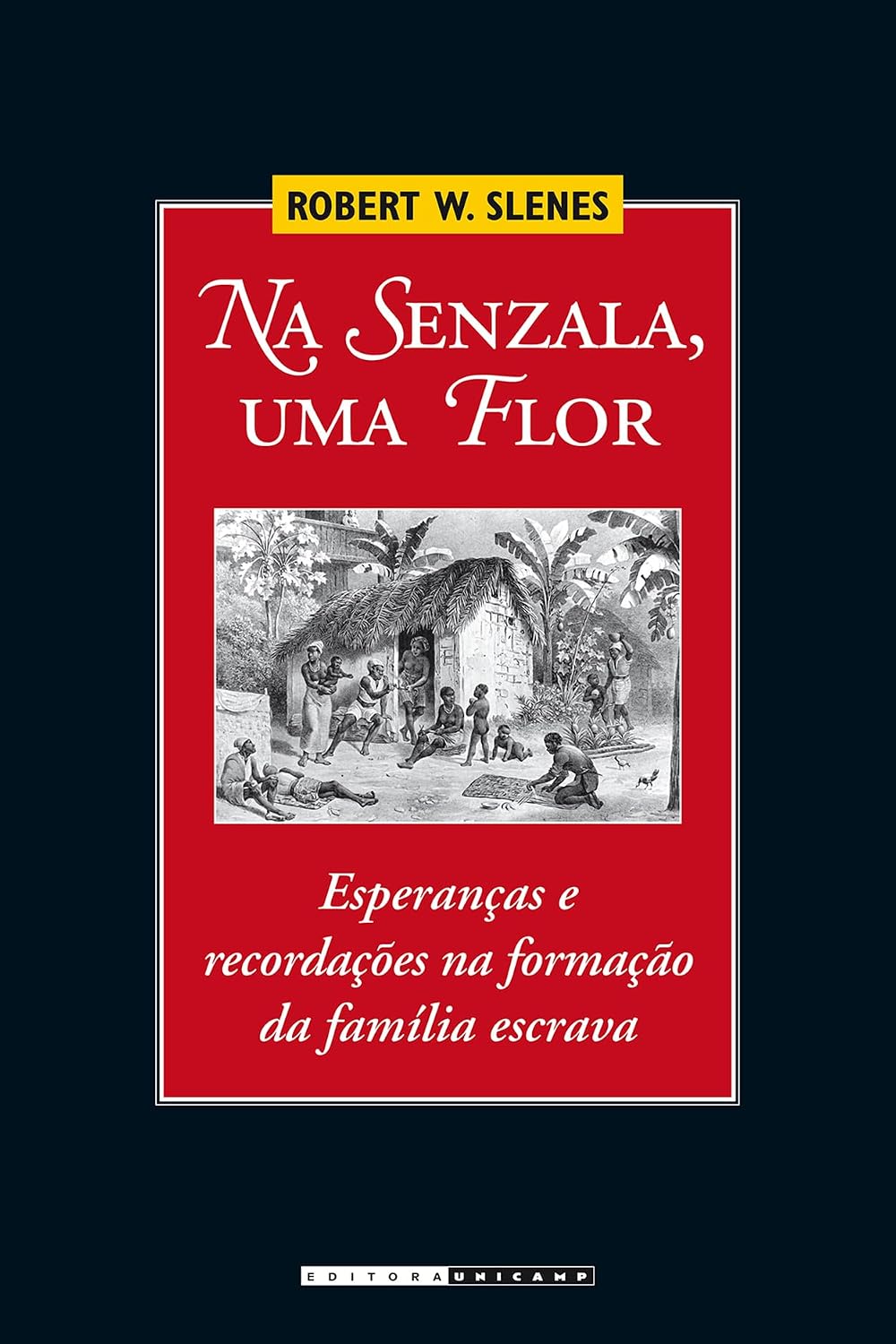 capítulo por capítulo baixar Na senzala, uma flor