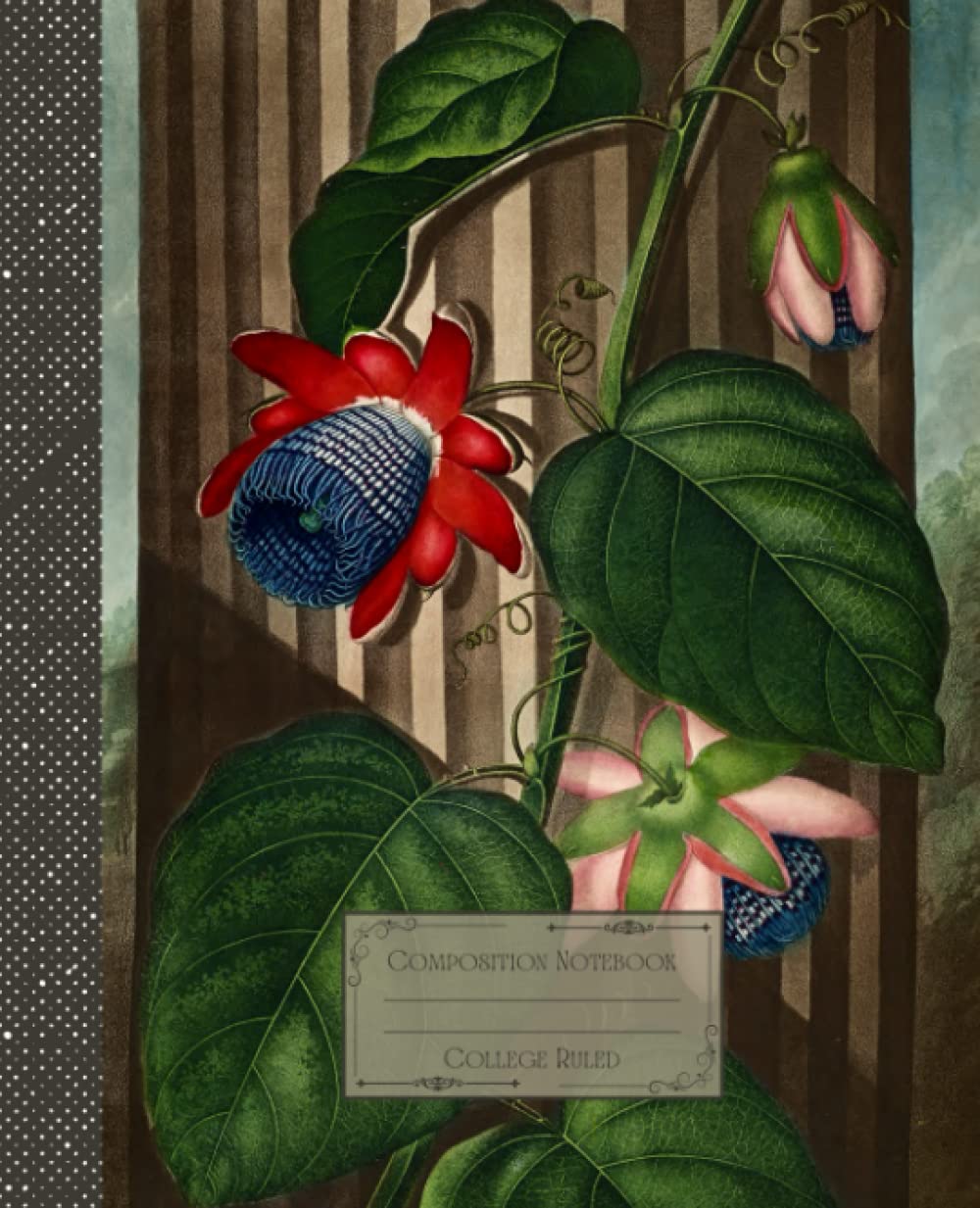 capítulo por capítulo baixar Vintage Flower Composition Notebook College Ruled: Antique Botanical Flower Illustration | Classic Composition Notebook for Writing and Journaling |... for College Students, School and Work.