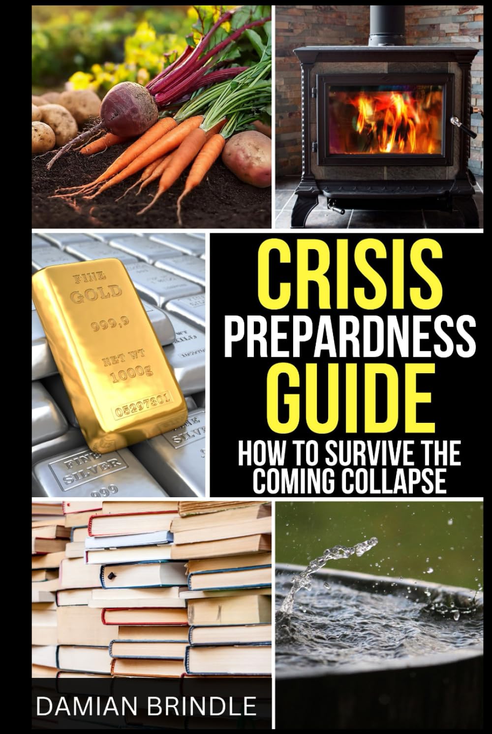 capítulo por capítulo baixar Crisis Preparedness Guide: How to Survive the Coming Collapse (The Survival Collection)