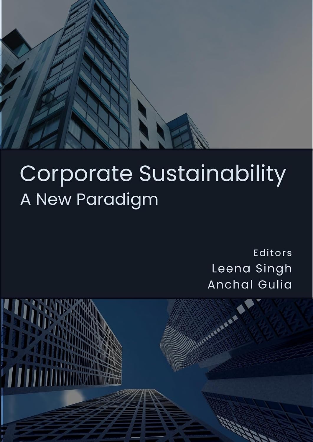 Corporate Sustainability: A New Paradigm: Corporate Sustainability: A New Paradigm (English Edition) baixar livro de graça