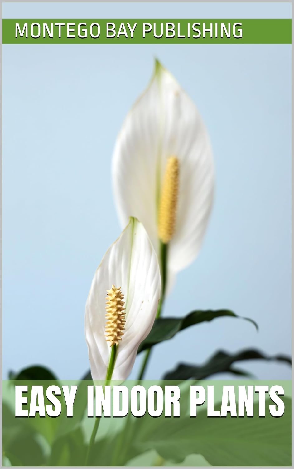 capítulo por capítulo baixar Easy Indoor Plants (Stunning Indoor Plants) (English Edition)