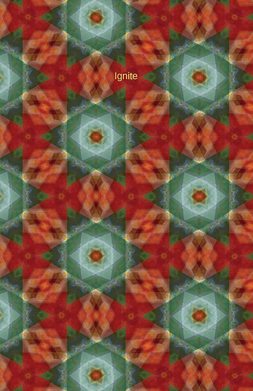 capítulo por capítulo baixar Ignite: Journal/Planner