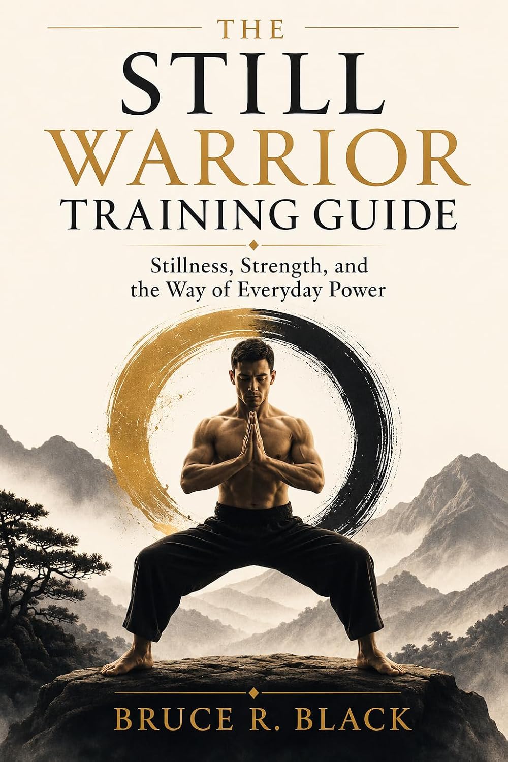 The Still Warrior Training Guide: Stillness, Strength, and the Way of Everyday Power (English Edition) baixar livro de graça