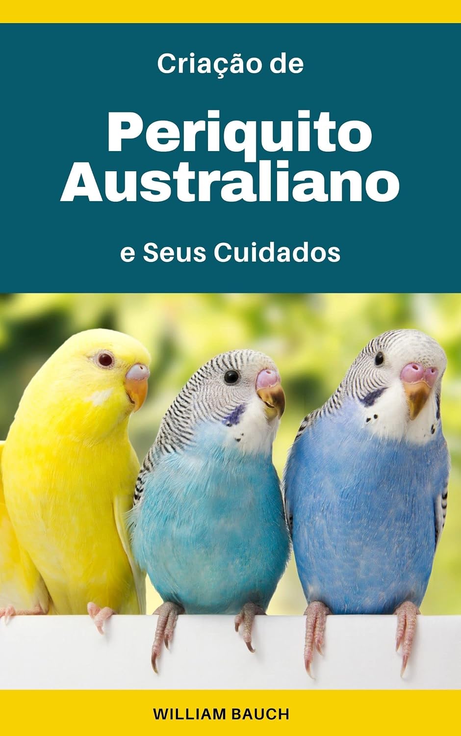 Criação de Periquito Australiano: e Seus Cuidados baixar livro de graça