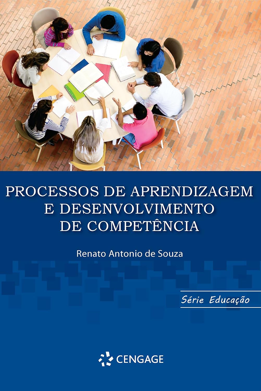 Processos de Aprendizagem e Desenvolvimento de Competência baixar livro de graça