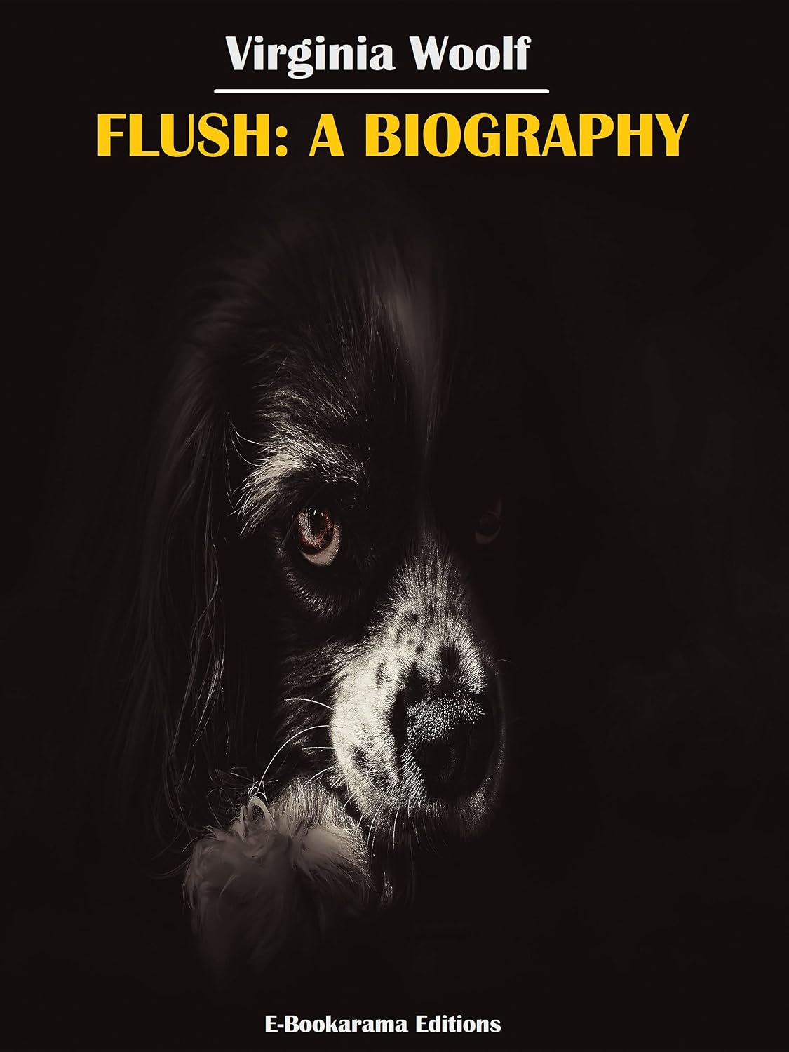 Flush: A Biography (English Edition)
