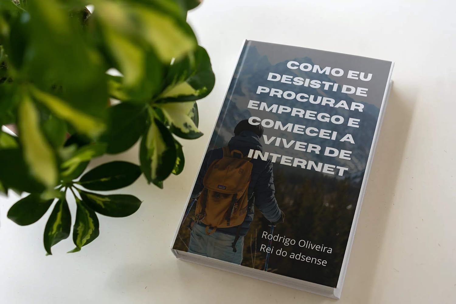 Como desisti de procurar emprego e comecei a viver de internet baixar livro de graça