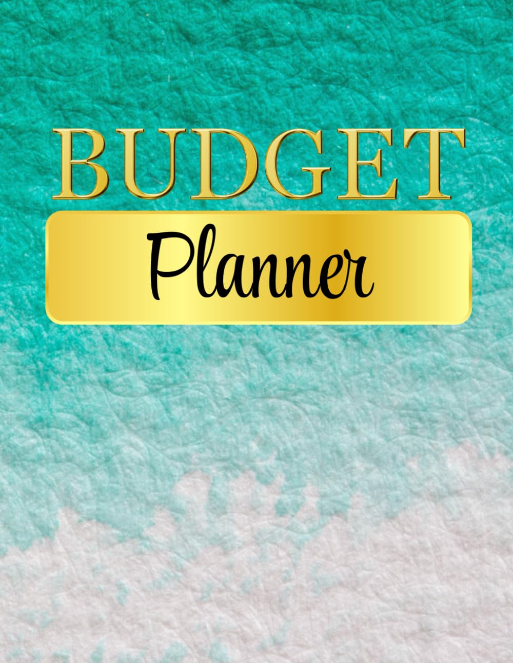 My Budget Planner Teal and Gold Cover- 12 months of money budgeting and tracking to manage your finances effectively, Undated, Start anytime, teal and gold, cash savvy, savings and debt tracker baixar o livro de graça