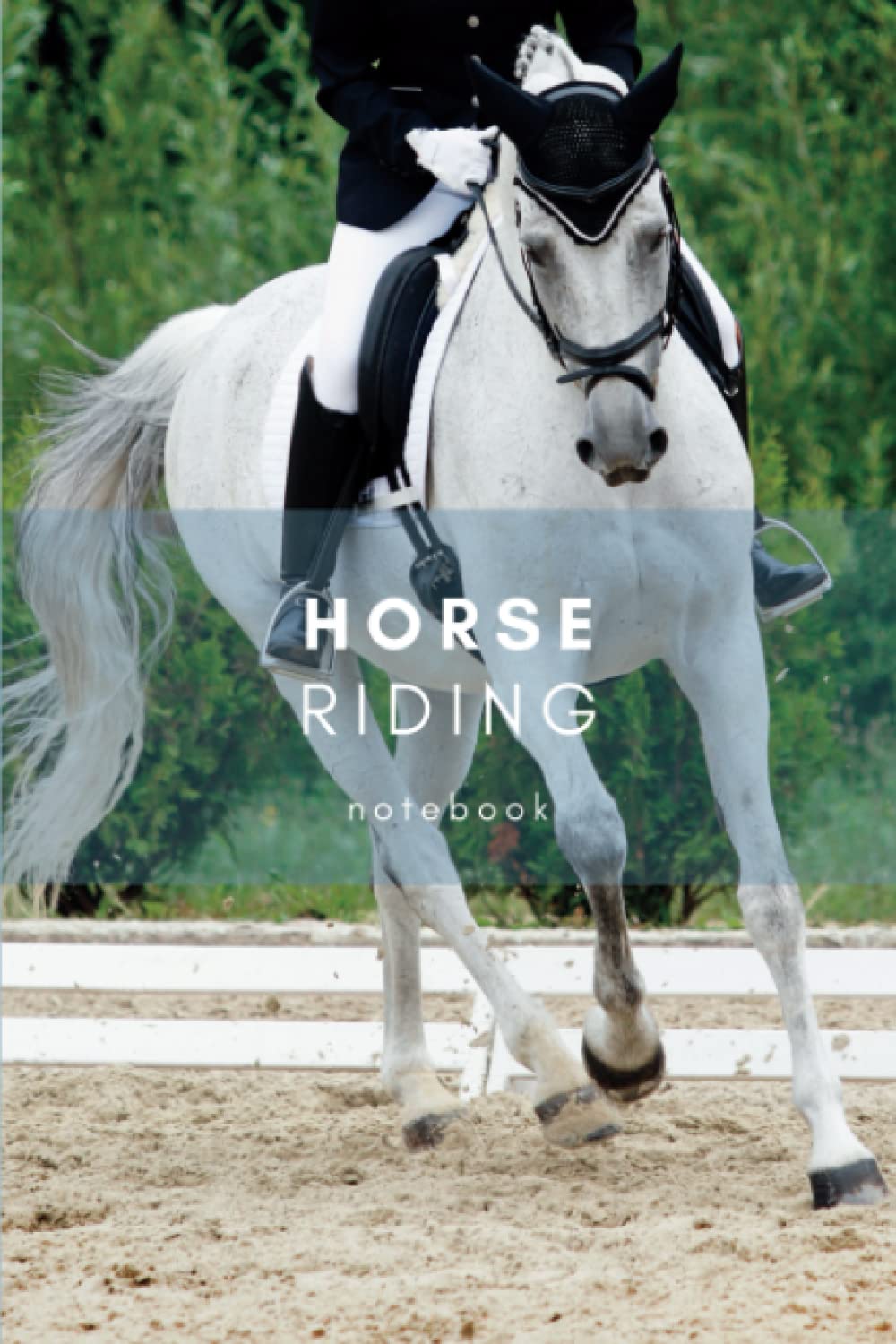 Horse Riding Notebook: A beautiful journal for horse health and training | Nutrition, fitness and exercise diary for the horse | Horse care notebook baixar o livro de graça