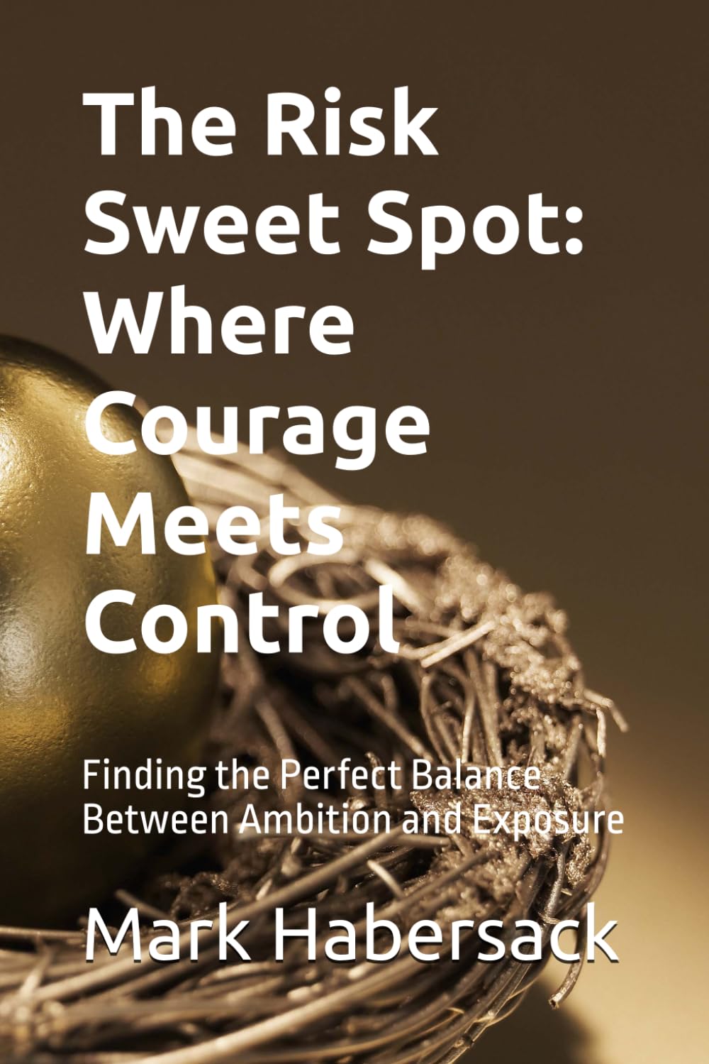The Risk Sweet Spot: Where Courage Meets Control: Finding the Perfect Balance Between Ambition and Exposure baixar livro de graça