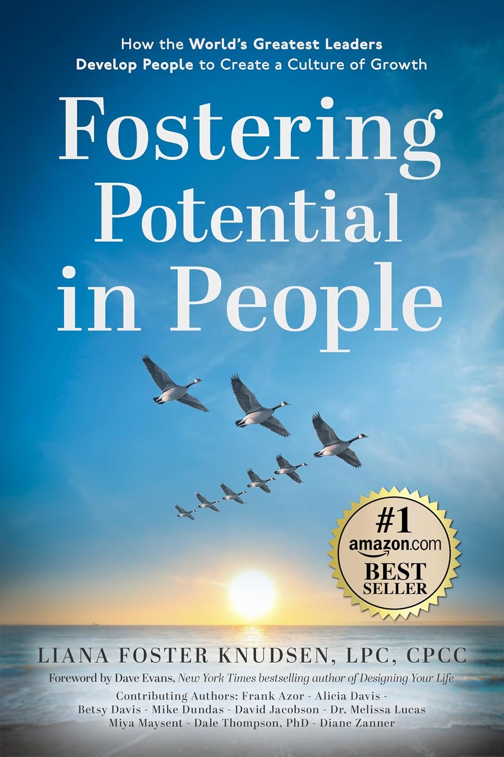 Fostering Potential in People: How the World’s Greatest Leaders Develop People to Create a Culture of Growth (English Edition) baixar livro de graça