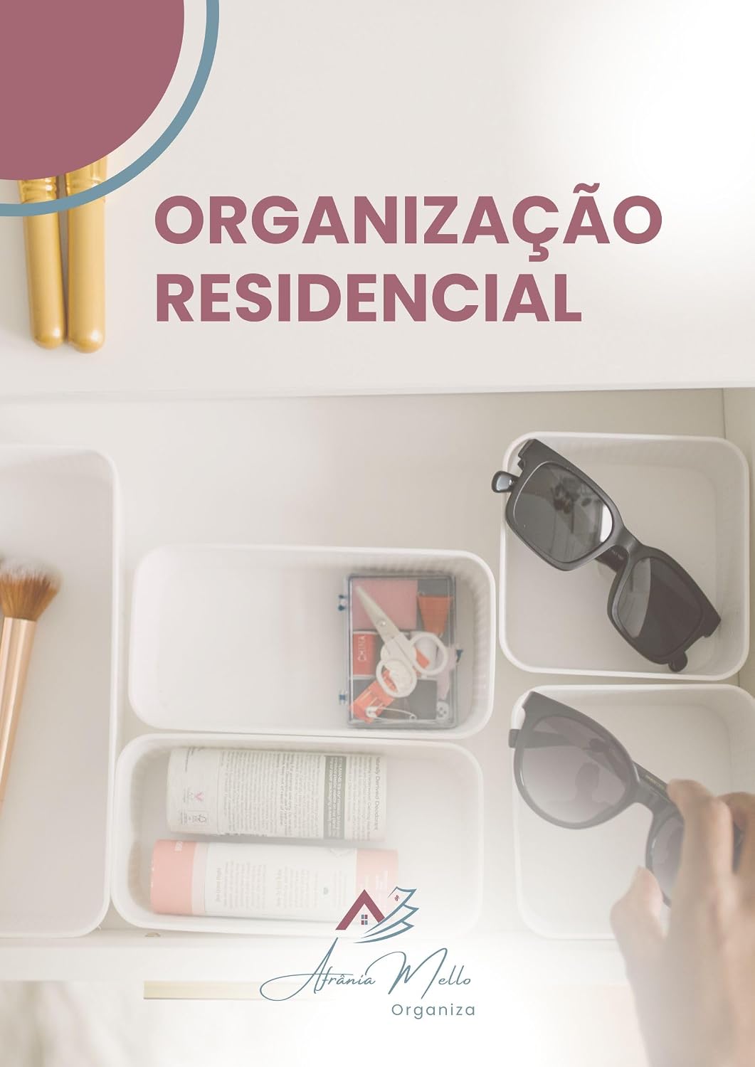 Organização Profissional baixar o livro de graça