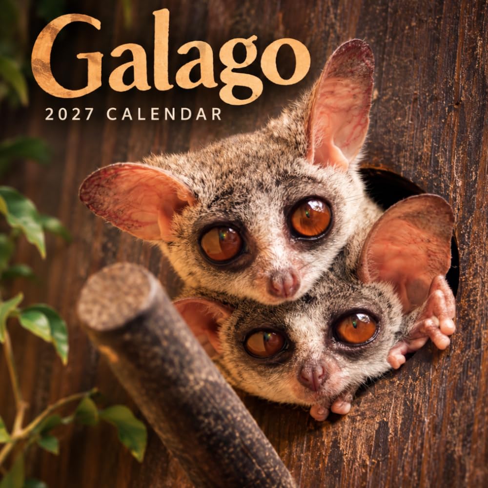 capítulo por capítulo baixar Galago Calendar 2027: Nocturnal Primate Photography