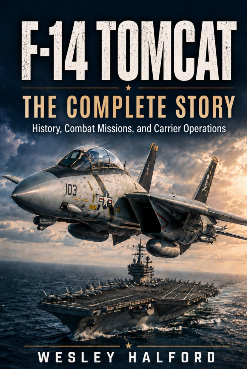 capítulo por capítulo baixar F-14 TOMCAT: THE COMPLETE STORY: History, Combat Missions, and Carrier Operations (Legends of Combat Aviation)