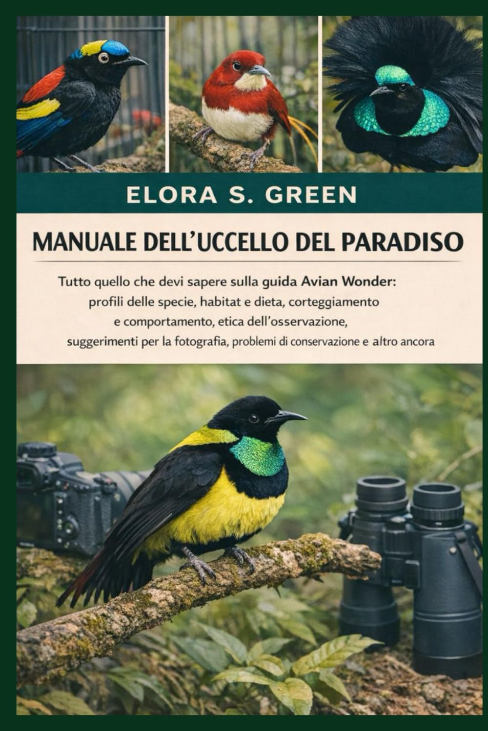 ler totalmente MANUALE DELL'UCCELLO DEL PARADISO: Tutto quello che devi sapere sulla guida Avian Wonder: profili delle specie, habitat e dieta, corteggiamento e... di conservazione e altro (Italian Edition)