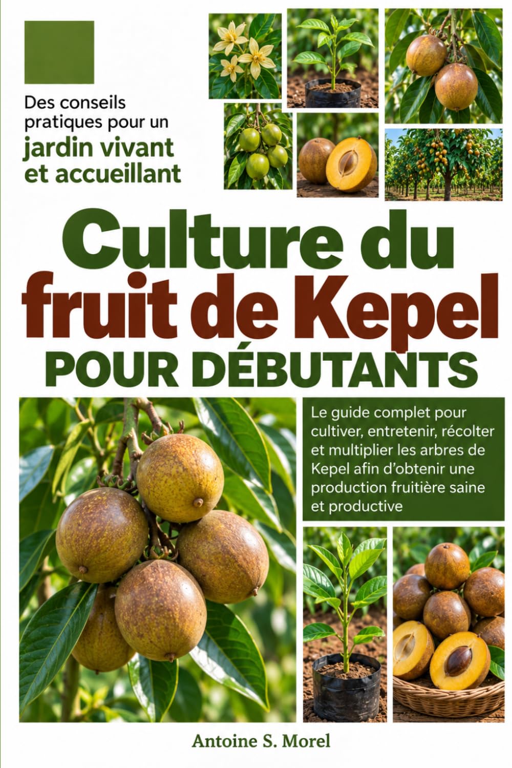 ler totalmente CULTURE DU FRUIT DE KEPEL POUR DÉBUTANTS: Le guide complet pour cultiver, entretenir, récolter et multiplier les arbres de Kepel afin d’obtenir une... saine et productive (French Edition)